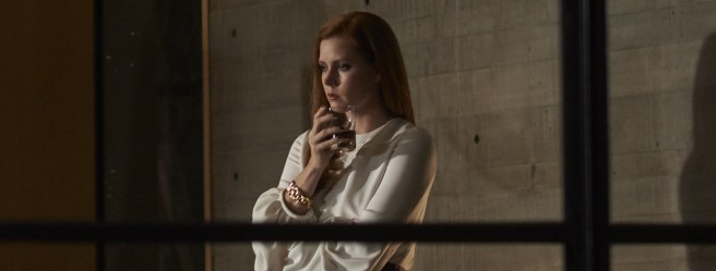 NOCTURNAL ANIMALS