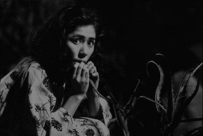 Pluie Noire_critique_la tentation culturelle (3)